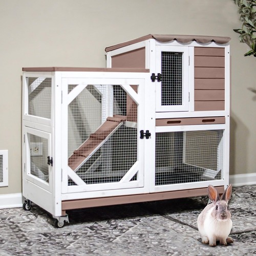 Rabbit hutch indoor - hutch, outdoor