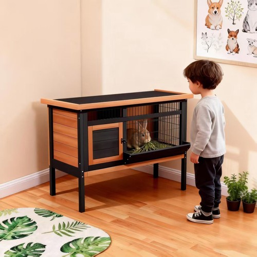 Elevated indoor outdoor - indoor,
