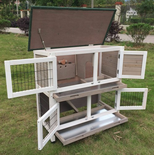 Grey rabbit hutch - rabbit, guinea