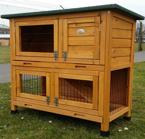 Rabbit hutch guinea - rabbit, pig