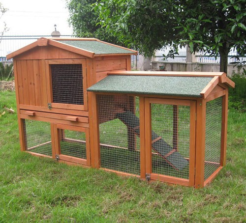 Rabbit guinea pig hutch - rabbit, /