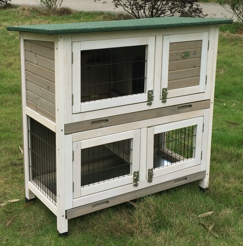 Grey rabbit hutch guinea - rabbit,