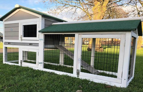 Large rabbit hutch guinea pig - rabbit,