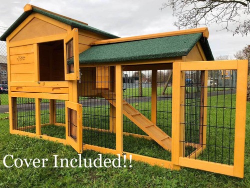 Rabbit hutch guinea - hutch,