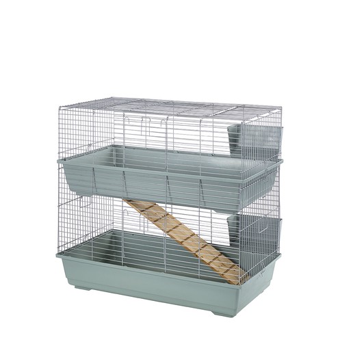 Rabbit guinea pig - guinea,