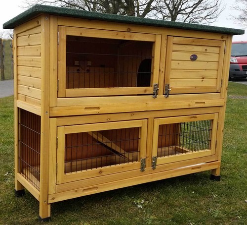 Large rabbit hutch guinea - rabbit, pig