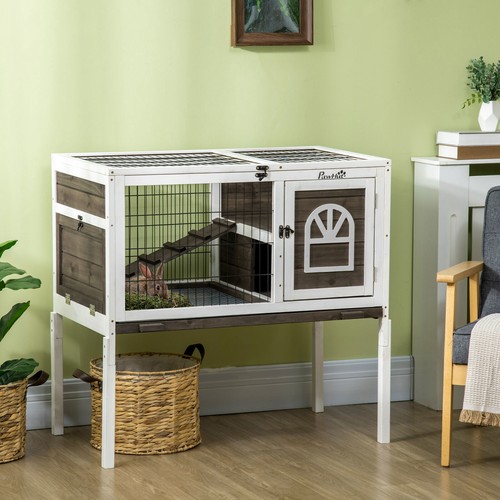Rabbit hutch guinea - rabbit, pig