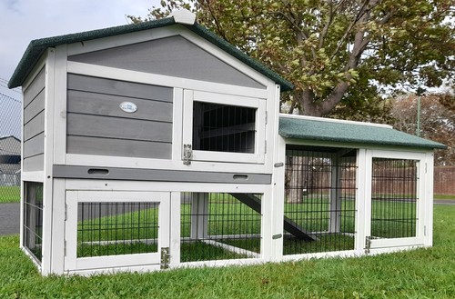 Large rabbit hutch guinea pig - guinea,