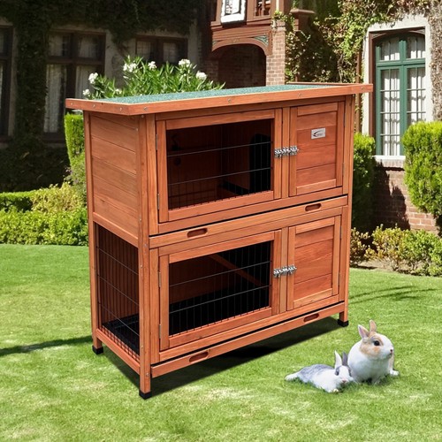 Rabbit guinea pig - rabbit, hutch