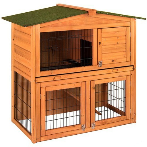 Rabbit hutch guinea pig - rabbit,