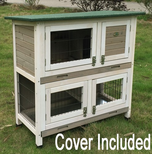 Rabbit hutch guinea - rabbit,