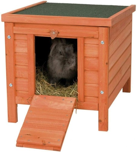 Wooden rabbit hutch cat - cat, house