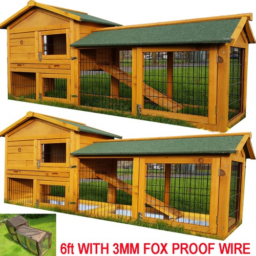 Rabbit hutch guinea - rabbit,